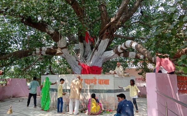 सुलतानपुर के पांडेय बाबा धाम में विजयादशमी मेले की आस्था और परंपरा